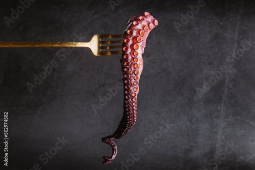 Raw octopus tentacle on fork