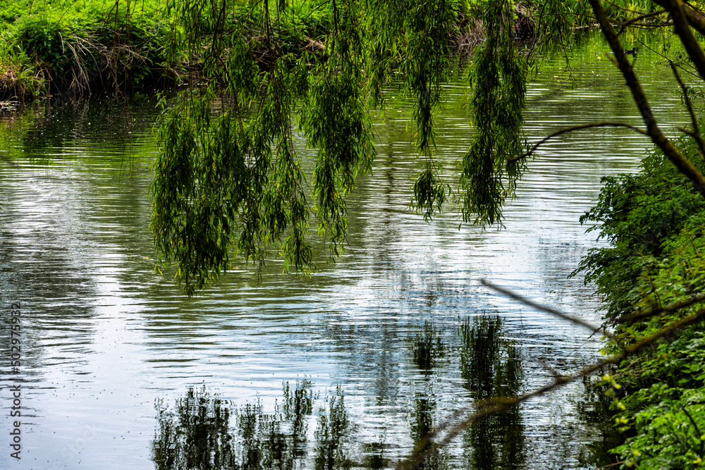 Reflection of trees in the River Stour near Canterbury in Kent, England Reflection of trees in the River Stour near Canterbury in Kent, England