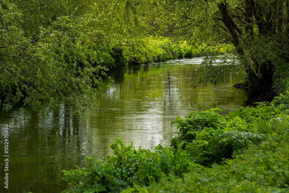 River Stour near Canterbury in Kent, England
