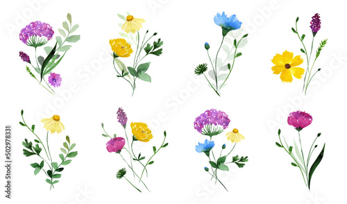 Wildflowers. Watercolor floral bouquet. Collection of wildflower bouquets.