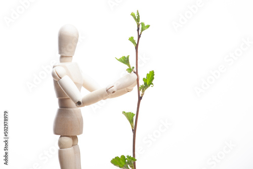image of wooden figure plant white background