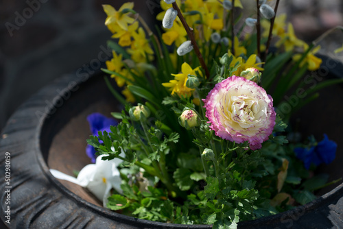 springtime flower arrangement with ranunculus, willow catkins, pansies, and miniature daffodils