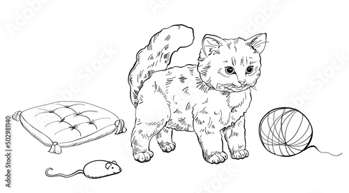 A cat set with cute kittens, soft pillows and accessories for games. 