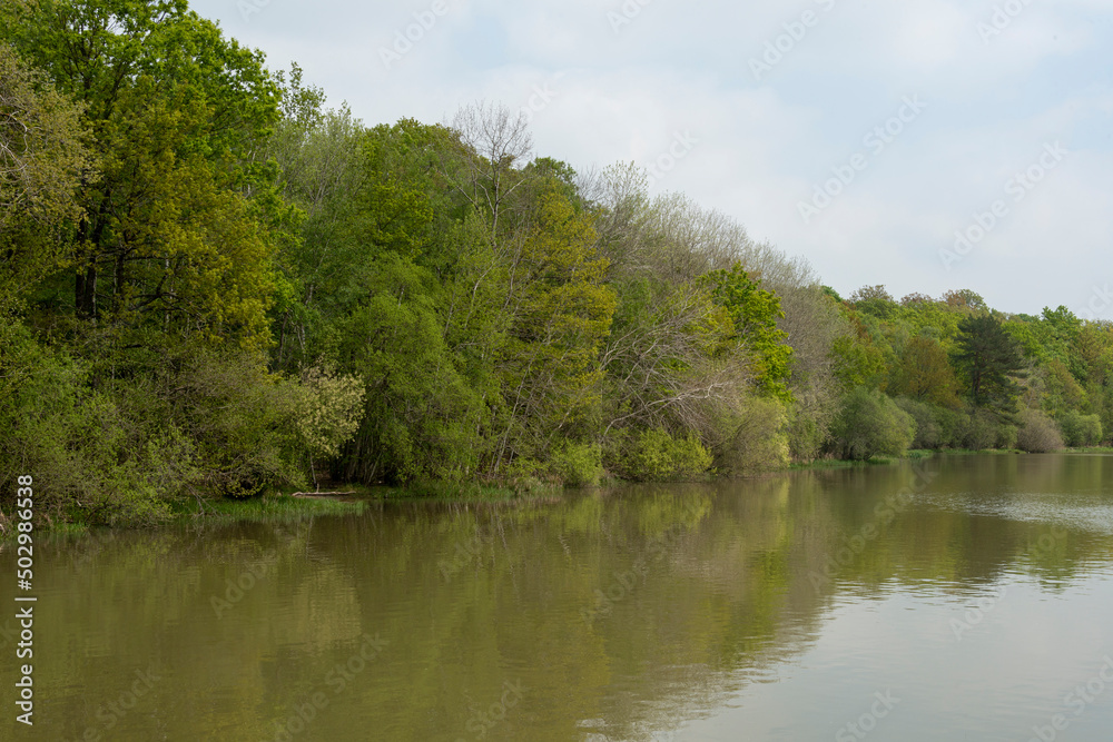 Haies d'aubépines, Crataegus monogyna, Etangs de Hollande, Parc naturel régional de la Haute Vallée de Chevreuse, Bréviaires, 78, Yvelines