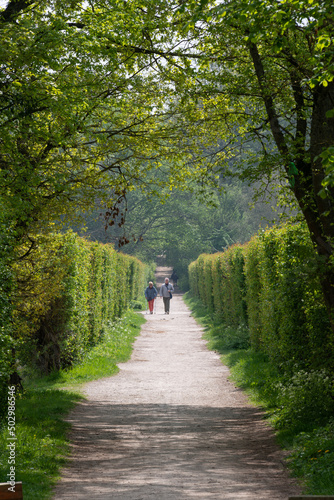 Haies d'aubépines, Crataegus monogyna, Etangs de Hollande, Parc naturel régional de la Haute Vallée de Chevreuse, Bréviaires, 78, Yvelines photo