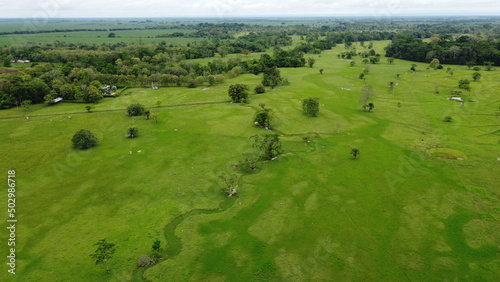 landscape from the road in colombia