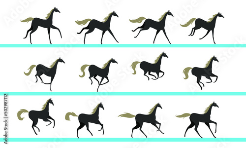 Horse running animation. Twelve key positions of horse running. Vector illustration isolated on white background.