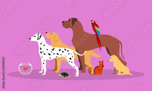 silhouette, sagome, animali, veterinario, clinica veterinaria
