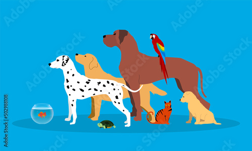 silhouette, sagome, animali, veterinario, clinica veterinaria