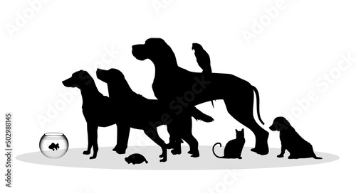 silhouette, sagome, animali, veterinario, clinica veterinaria