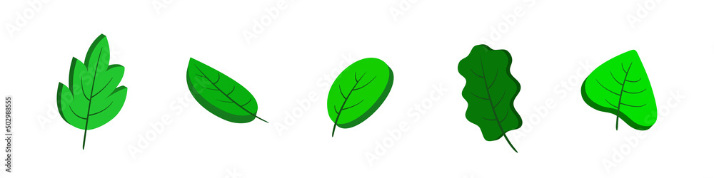 3d leaves. Isometric green leaves. Set isolated on white background. Vector clipart. 3d leaves. Isometric green leaves. Set isolated on white background. Vector clipart.