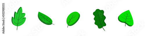 3d leaves. Isometric green leaves. Set isolated on white background. Vector clipart.