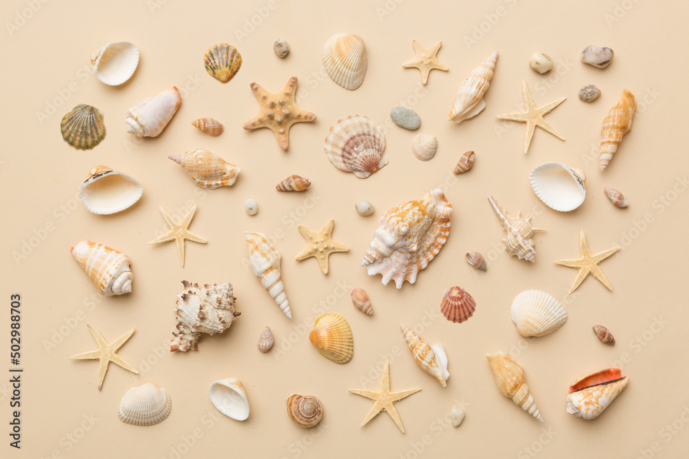 Summer time concept Flat lay composition with beautiful starfish and sea shells on colored table, top view Summer time concept Flat lay composition with beautiful starfish and sea shells on colored table, top view