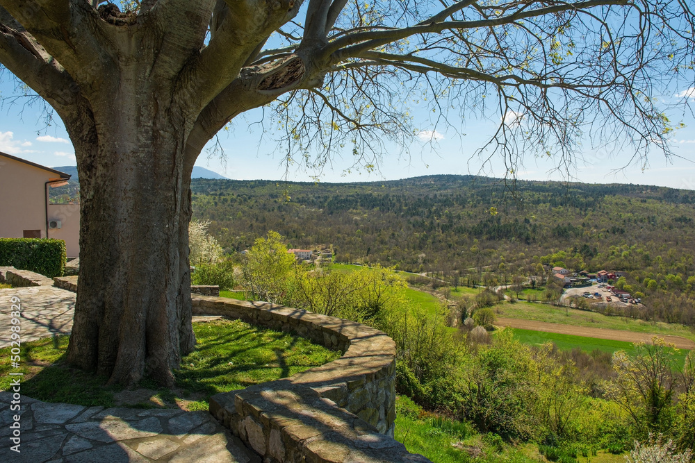 The spring landscape near the village of Roc in Istria, western Croatia
