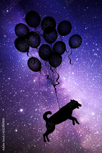 Dog flying on balloons. Animal silhouette in starry sky. Milky Way