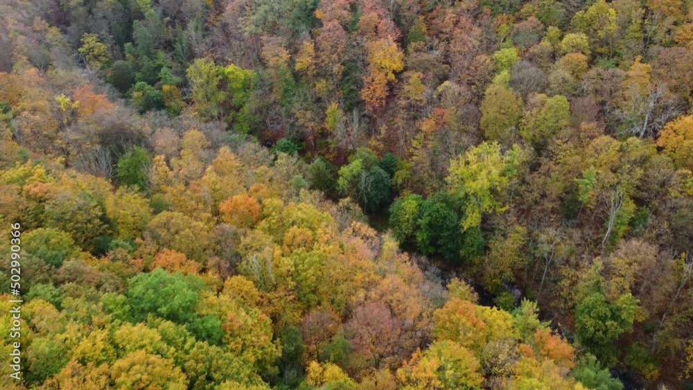 Dundas Valley in autumn with stream fly over with drone Dundas Valley in autumn with stream fly over with drone