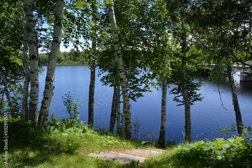 Wooden steps lead down a hill between white birch trees to calm blue lake waters of a flowage on the Chippewa River in northern Wisconsin.