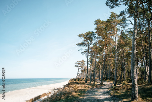 Fototapeta Naklejka Na Ścianę i Meble -  A view from a wooded cliff to an empty beach and a calm sea on a sunny day