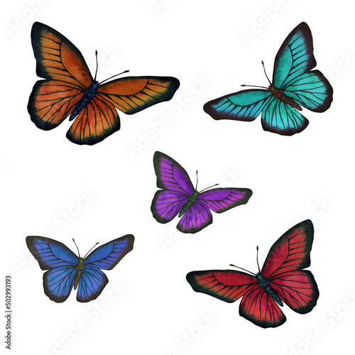 Butterfly colorful watercolor set. Isolated on white background