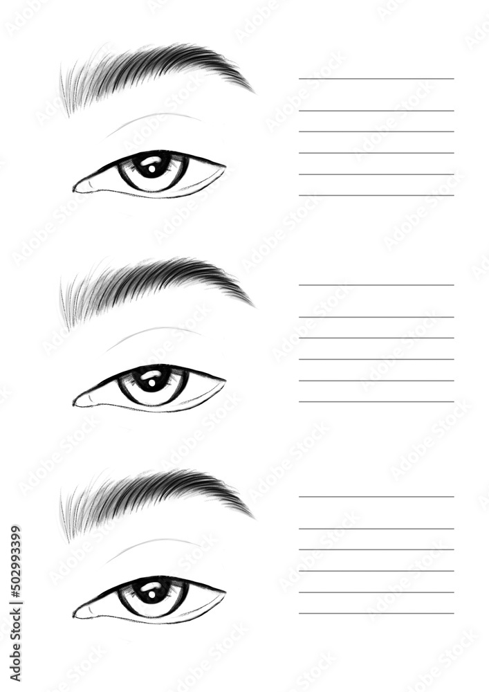 Dyster rigdom leje Eyes. Face chart for makeup artist. Stock-illustration | Adobe Stock