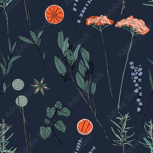 Herbs hand drawn background. Seamless pattern with drumstick flower, rosemary and lavander, orange, yarrow, mint plant, anise on dark blue background. Decorative illustration, good for printing.