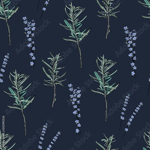 Herbs hand drawn background. Seamless pattern with rosemary and lavander on dark blue background. Colorful wallpaper vector. Decorative illustration, good for printing.