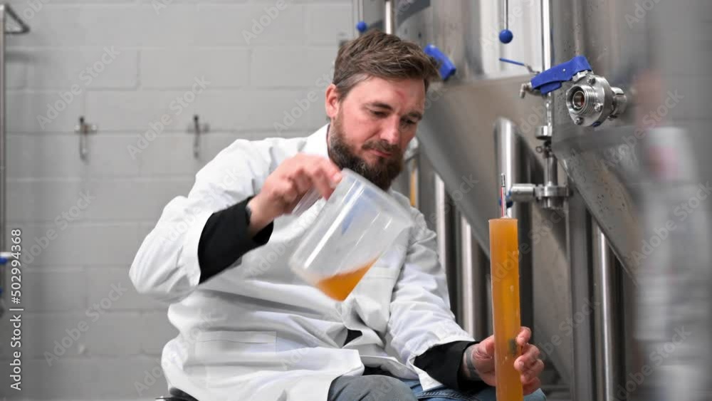 Professional brewmaster controlling craft beer production process in brewery, measuring beverage density with hydrometer. High quality 4k footage