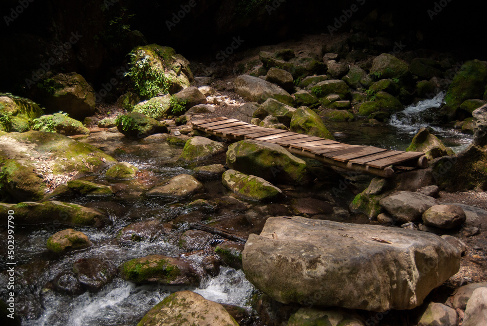 moss covered rocks and wood bridge in forest moss covered rocks and wood bridge in forest