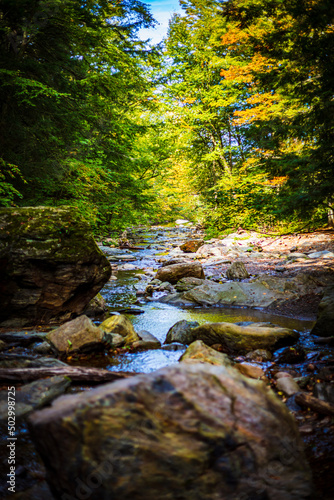 Down Stream