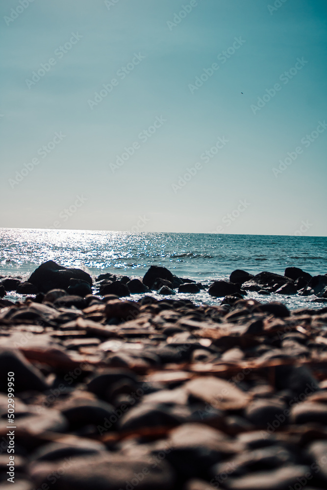 sea and rocks