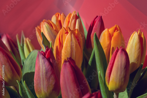 Beautiful yellow and red tulips. Luxurious delicate bouquet for mom  wife or loved one for the holiday. Spring flowers.