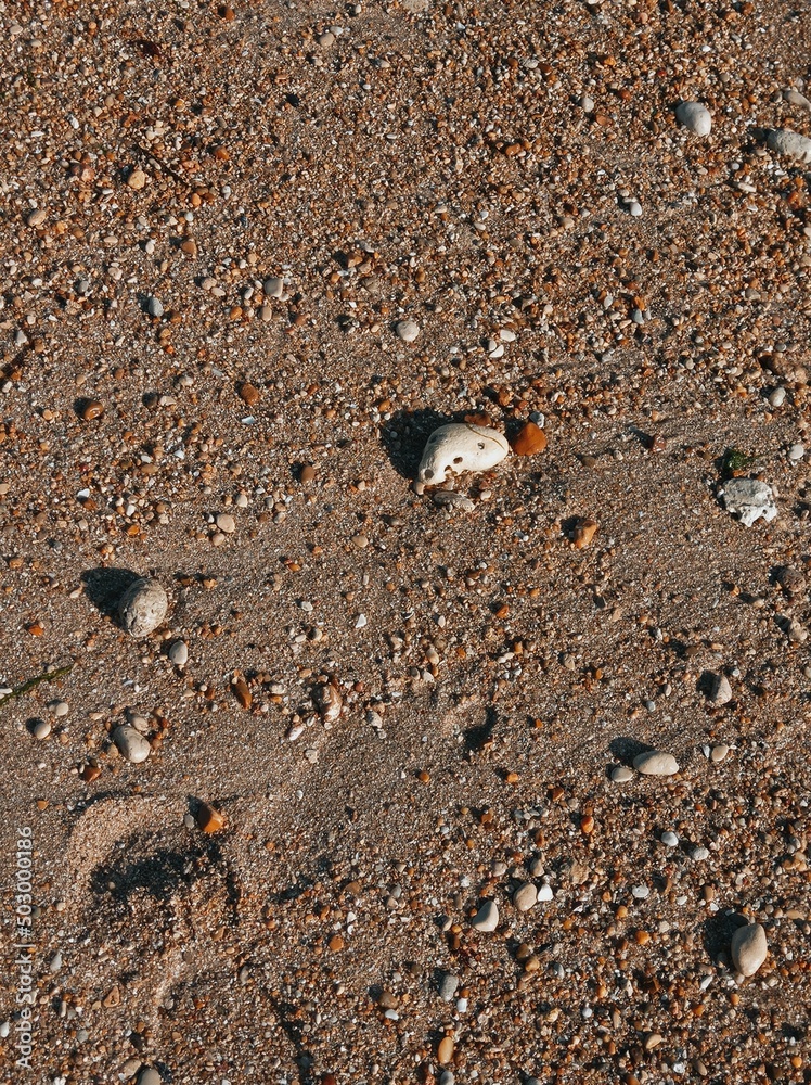 Beach with sunset and stone Beach with sunset and stone
