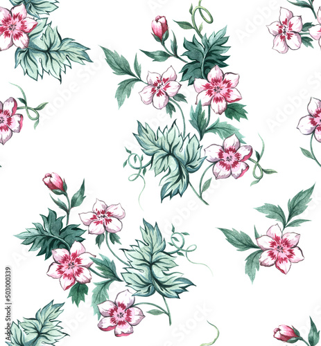 Watercolor trendy botanical floral pattern isolated on white background. © Arina
