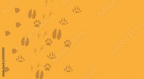 impronte, orme, animali