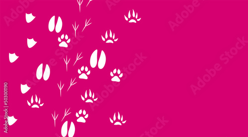 impronte, orme, animali