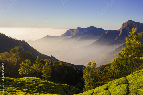 Tela Munnar Top Station - one of the most visited destination in Kerala