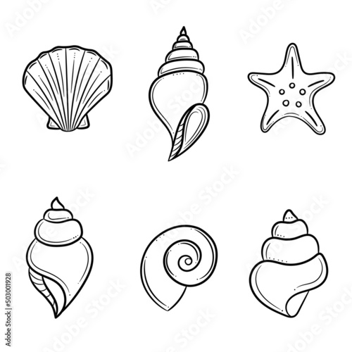 Seashell vector illustration, hand drawn elements isolated