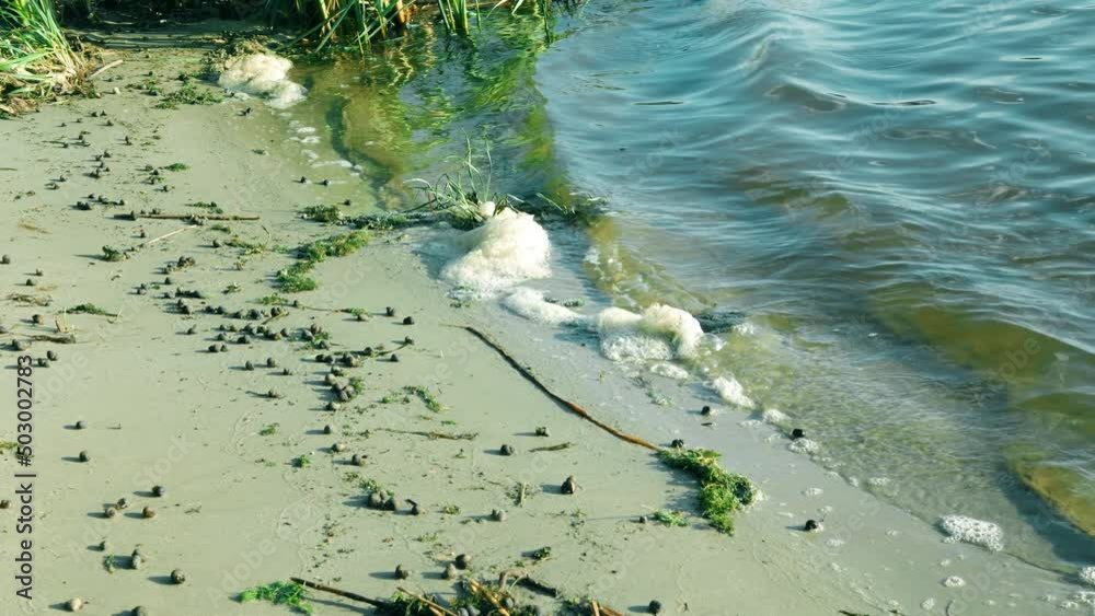 Sandy river bank. river landscape. beautiful natural background. Green ...