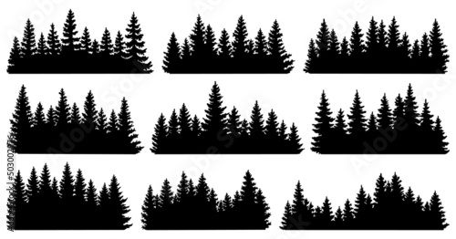 Obraz na płótnie Fir trees silhouettes