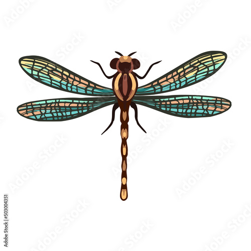 Vector illustration of beautiful decorative dragonfly. Dragonfly isolated on white. Illustration of beautiful dragonfly in vintage style