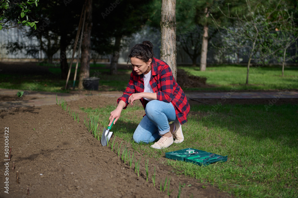 Delightful female gardener planting sprouts and seedlings with a hand shovel in the black soil in a flower bed in her country house vegetable garden Delightful female gardener planting sprouts and seedlings with a hand shovel in the black soil in a flower bed in her country house vegetable garden