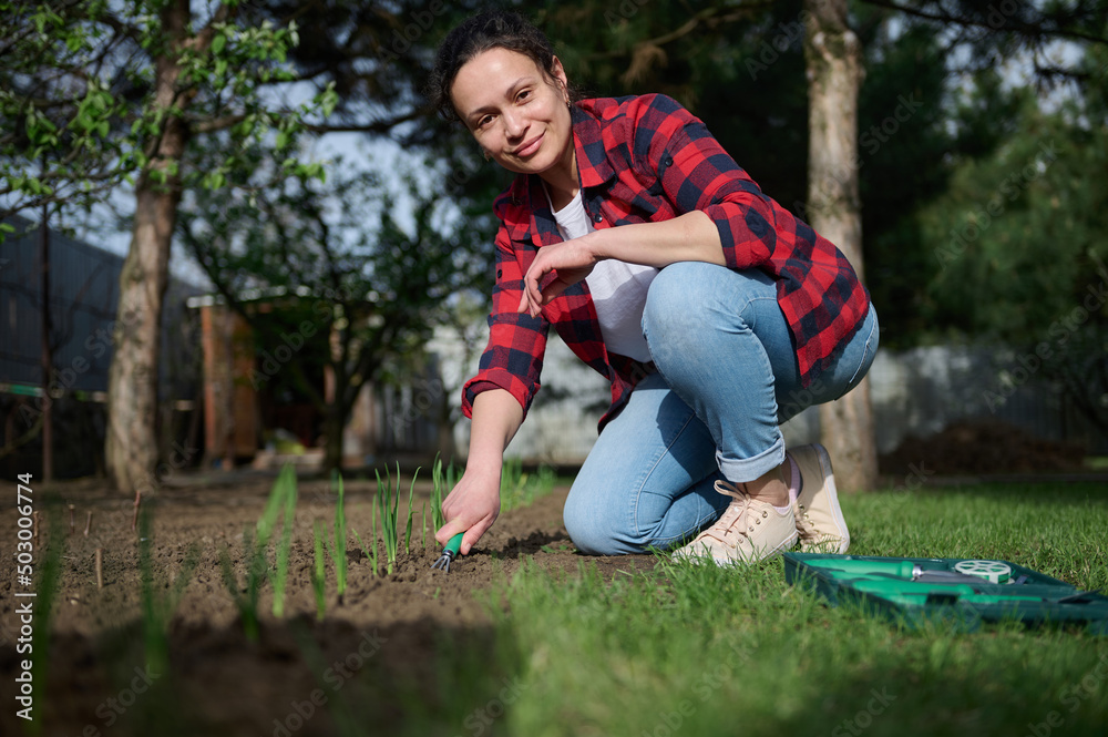 Middle-aged cute woman gardener smiles looking at camera while loosening black soil with a gardening rake. Horticulture, hobby and leisure activity Middle-aged cute woman gardener smiles looking at camera while loosening black soil with a gardening rake. Horticulture, hobby and leisure activity