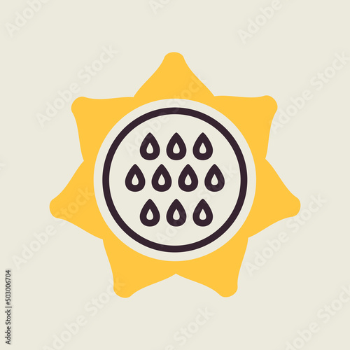 Sunflower outline icon. Vegetable vector