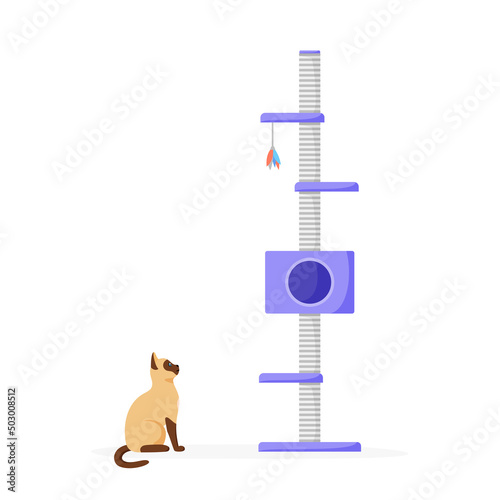 Cat tree with scratching posts. Siamese cat sharpens claws on cat tower. Cat playground and house with claw sharpeners. Flat style vector