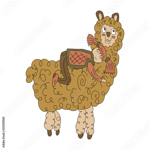 A little girl rides on the back of a fluffy alpaca. Isolated on a white background. 