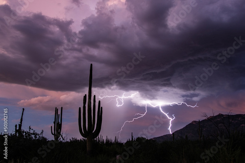 Canvas Print Lightning at sunset in the sonoran desert