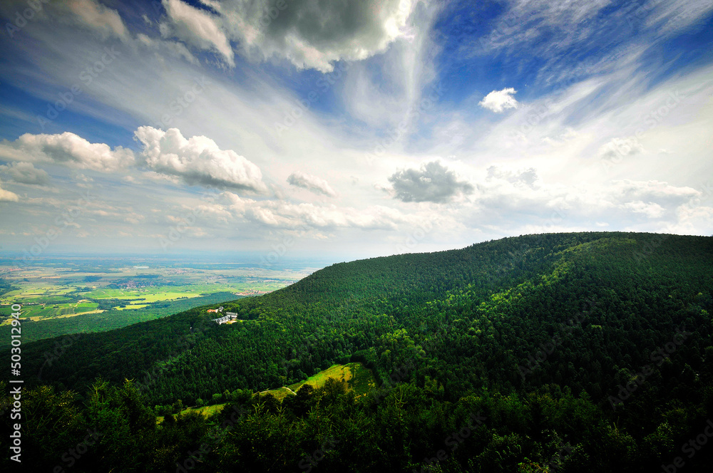 Paysage Paysage