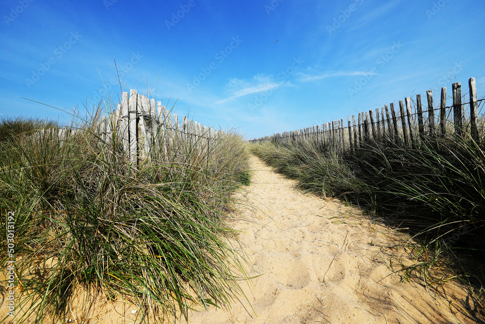 Fototapeta premium Chemin vers la plage