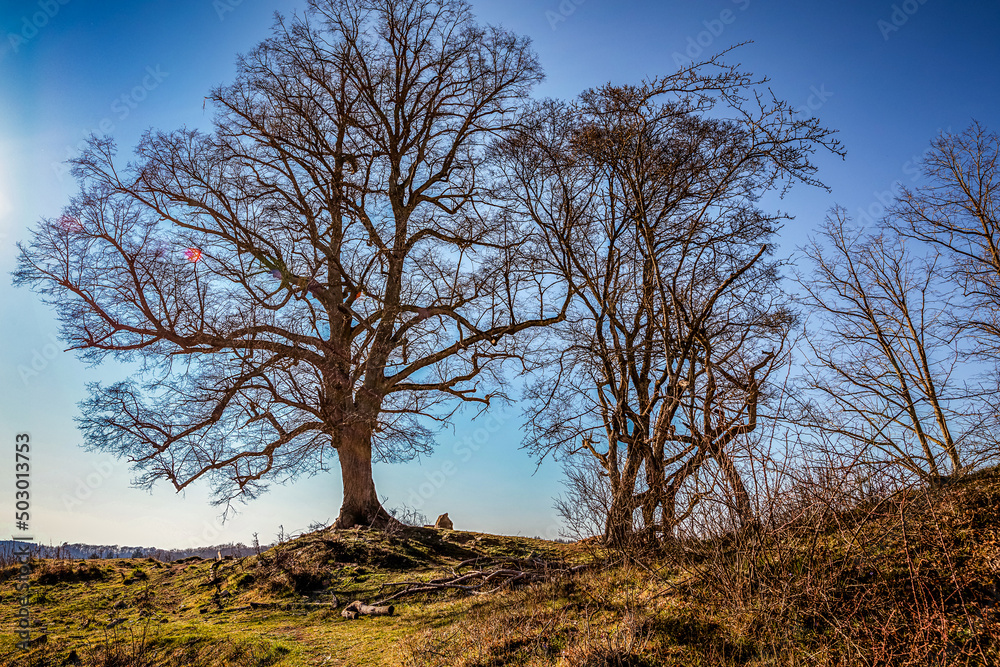 Eselsburger Tal bei Herbrechtingen Eselsburger Tal bei Herbrechtingen