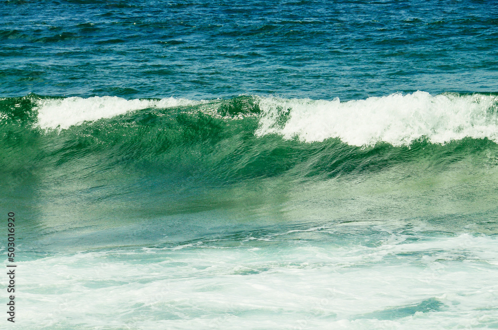 Fototapeta premium Vague